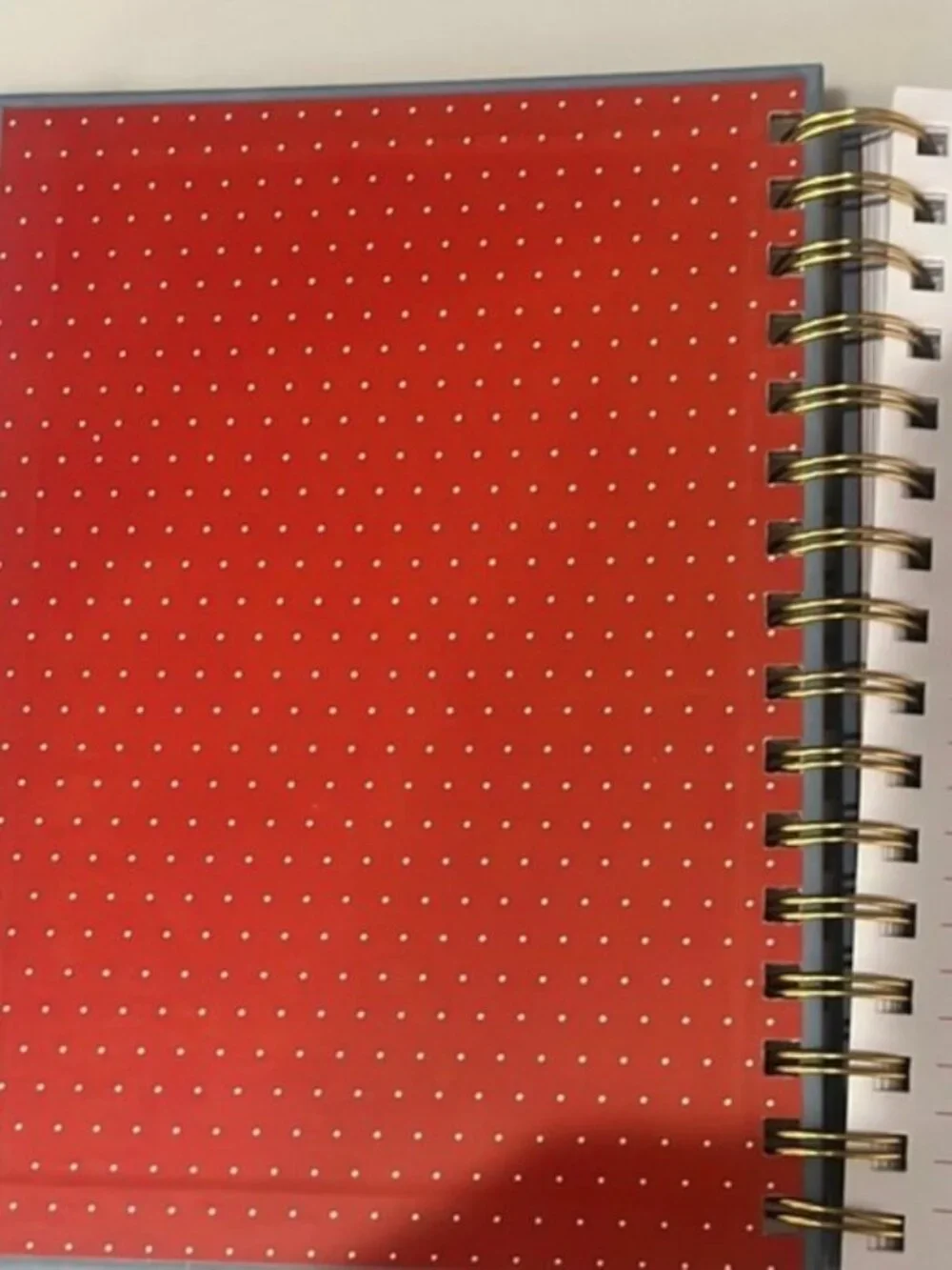Blue Mushroom Spiral Notebook